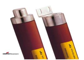 电动机保护用高压限流熔断器——XRNT